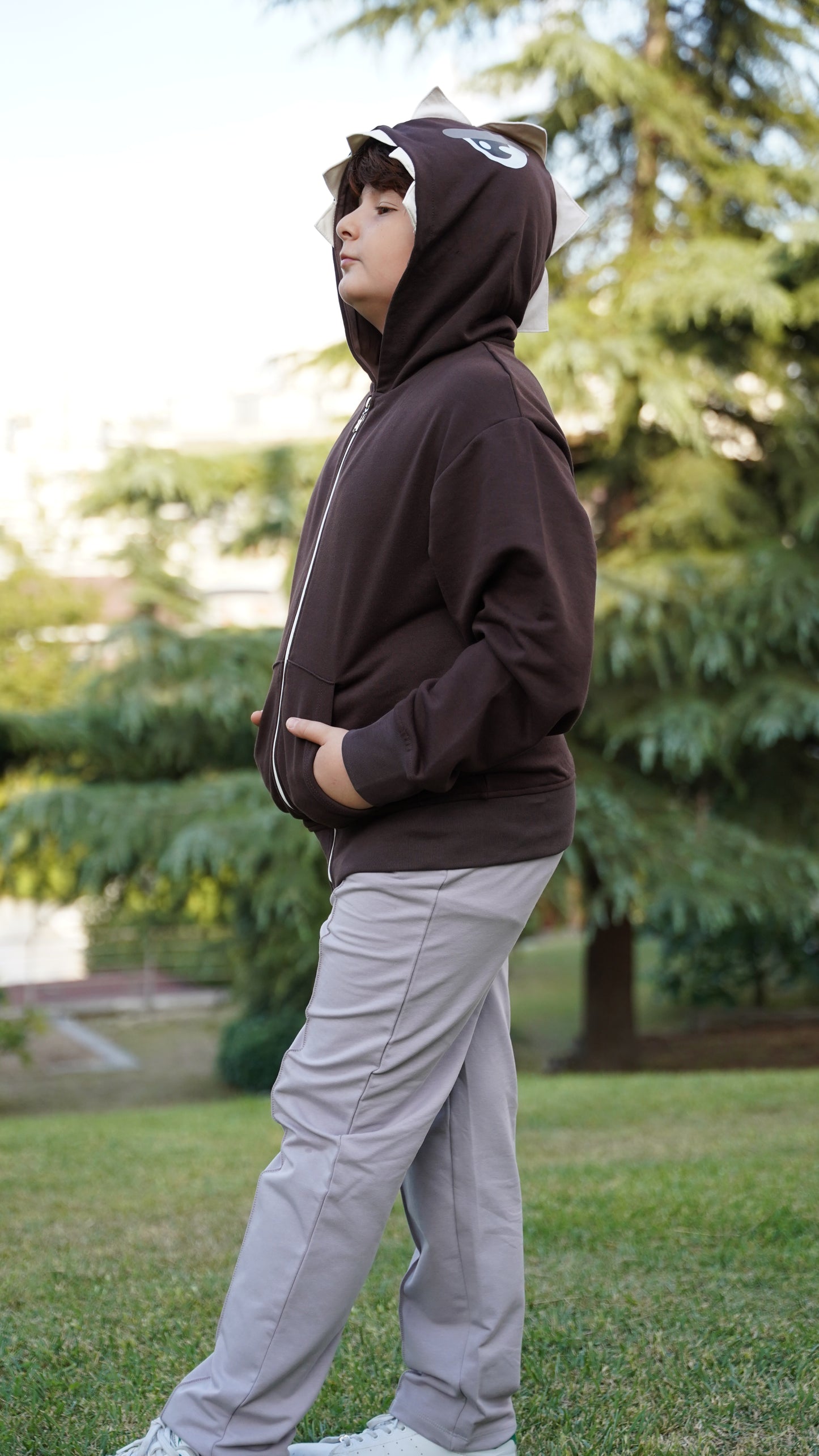 Erkek Çocuk Üç İplik Dinazor Kapşonlu Sweat/Hoody - Kahverengi
